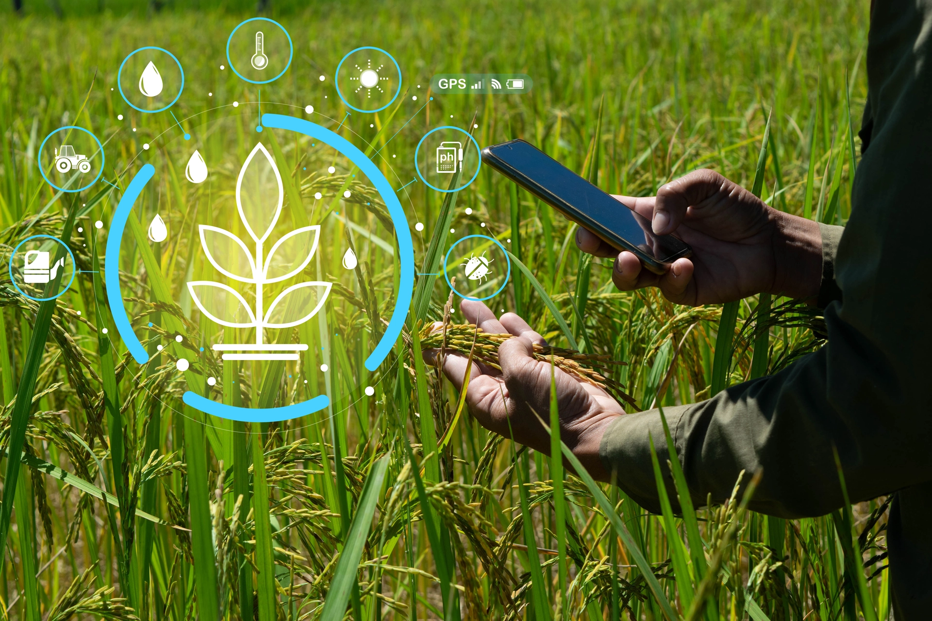 Agriculture Industry